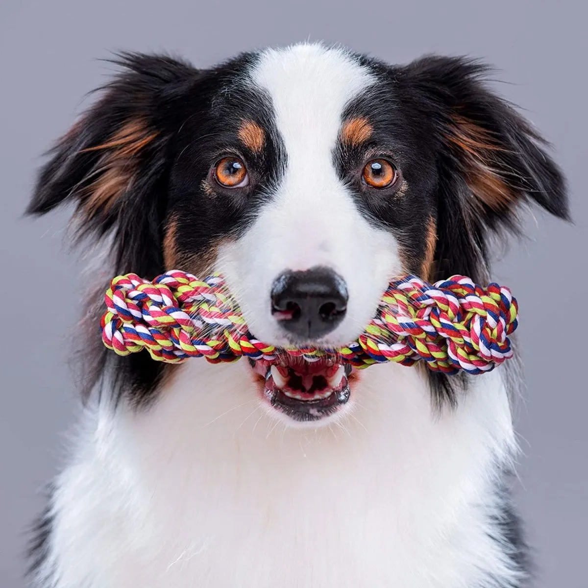 7 Pcs Chew Toy Set for Pets-Wholesale