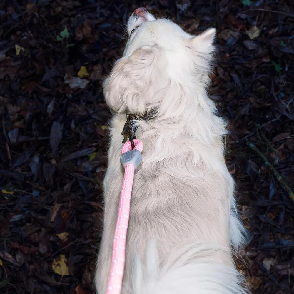 AllPetSolutions Reflective Rope Dog Lead, Pink, 140cm