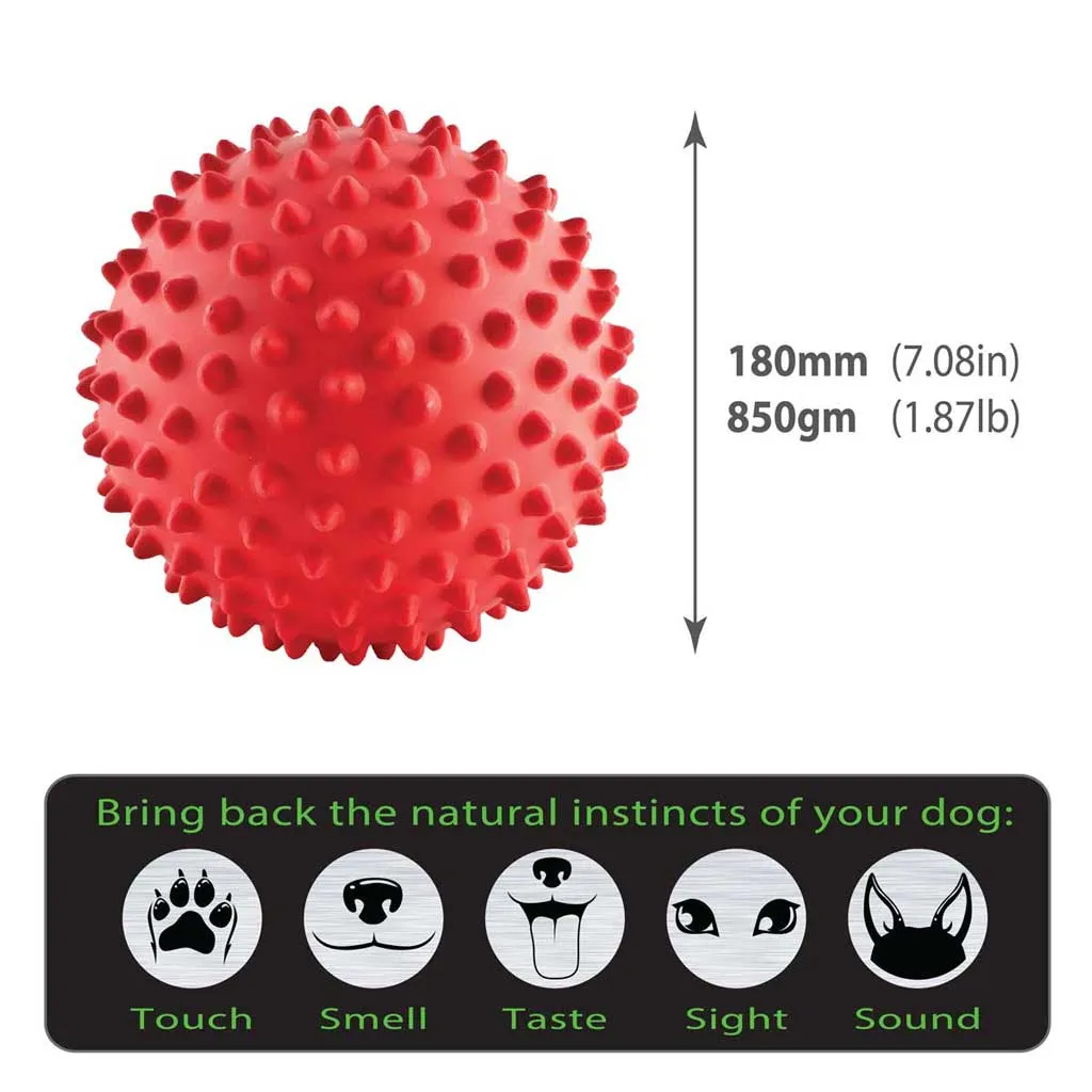 Aussie Dog Mitch Ball Red