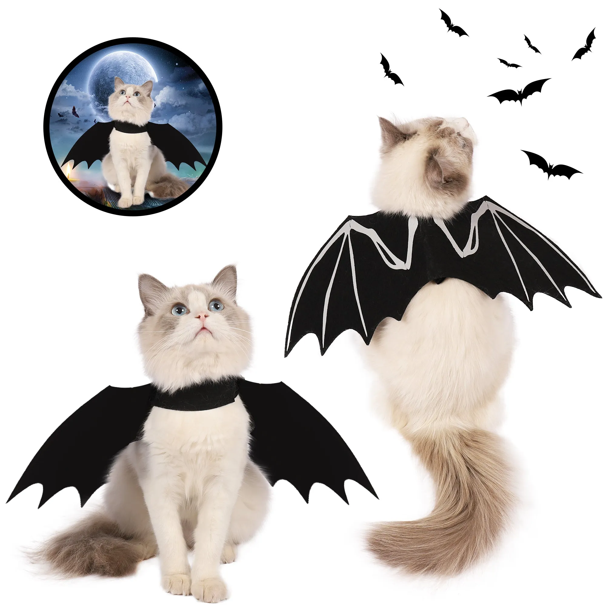 Bat Wings Cat Costume