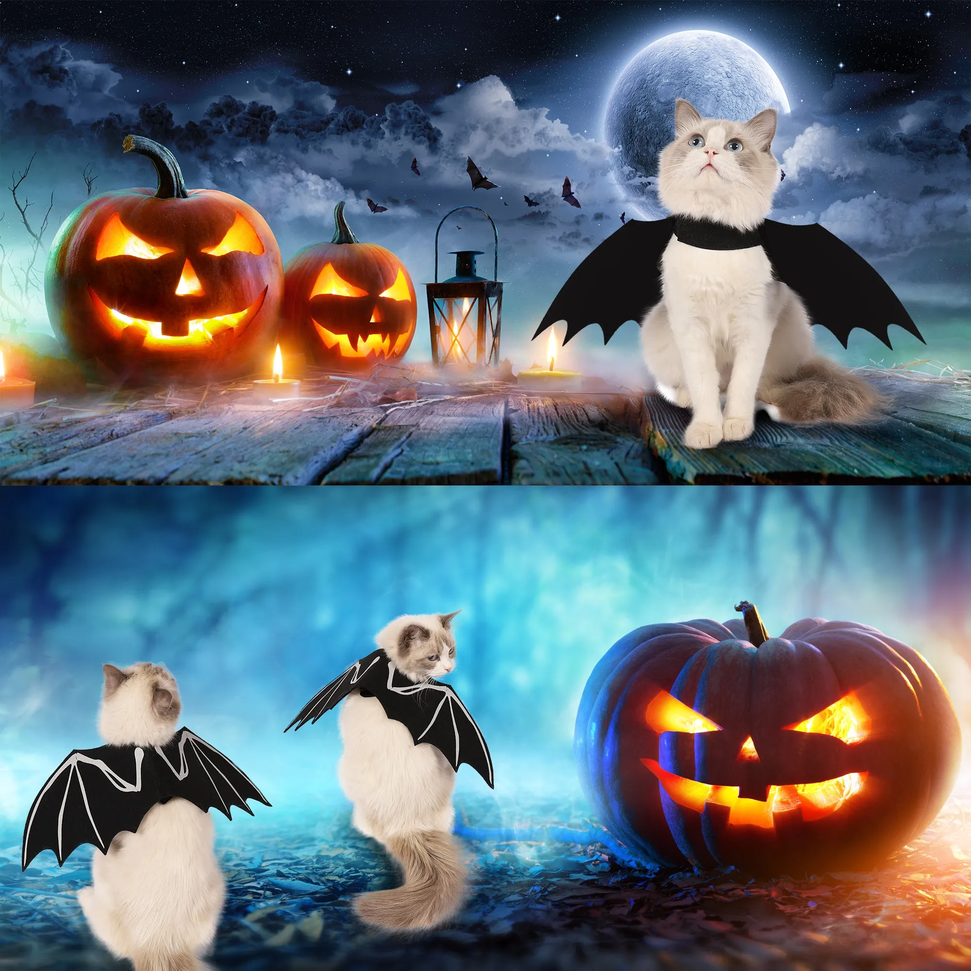 Bat Wings Cat Costume