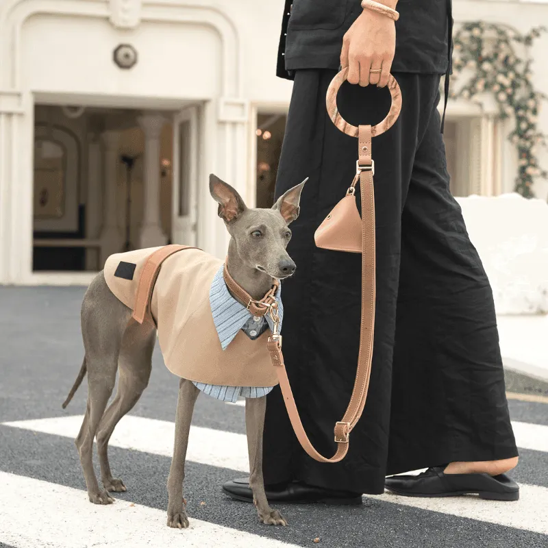 Blushwood Leather Dog Leash