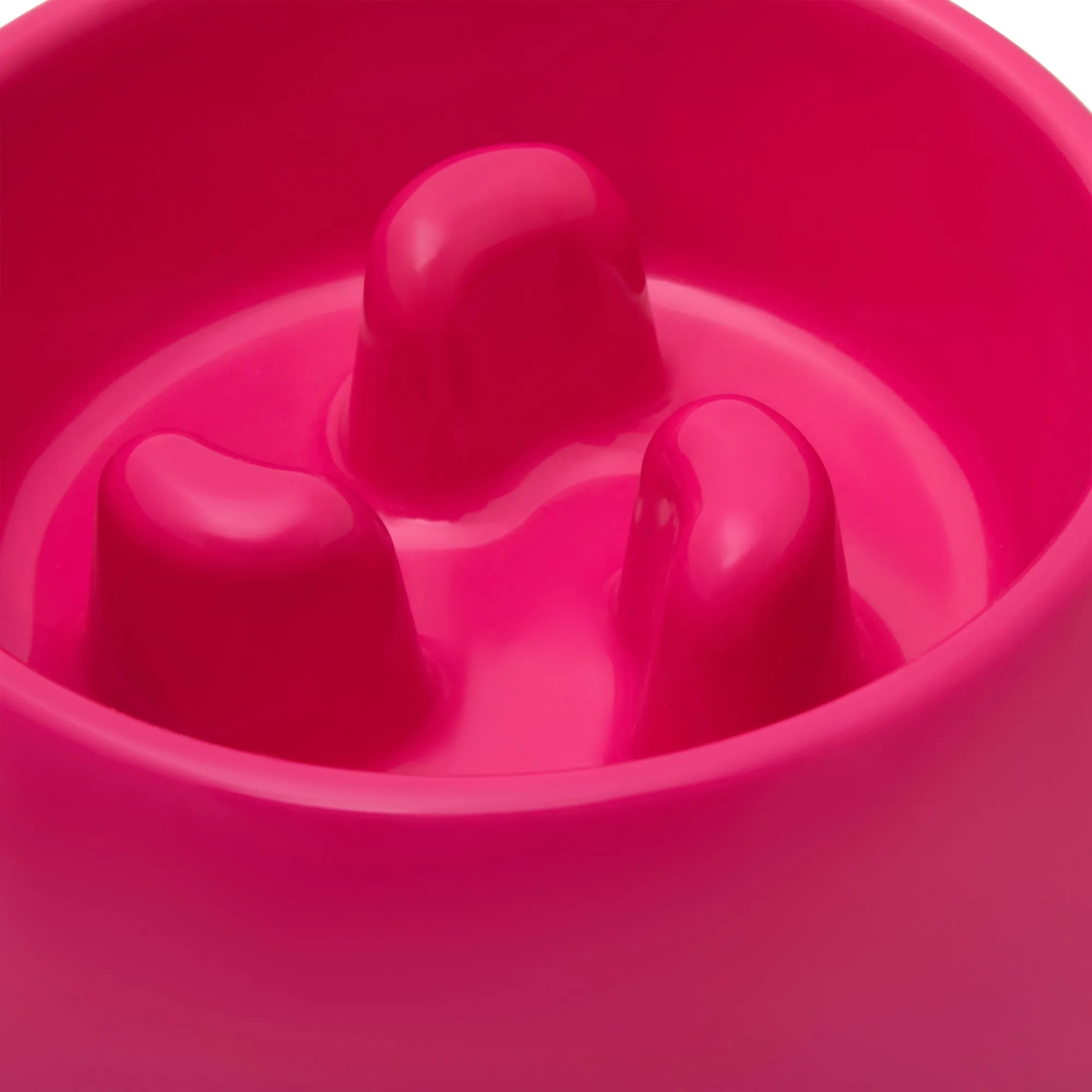 Buddy & Belle Slow Feeder Bowl