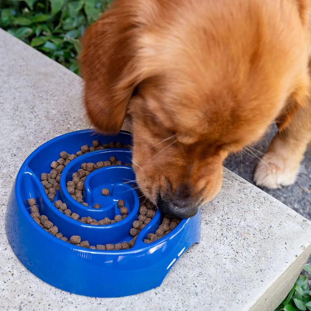 Buddy & Belle Slow Feeder Bowl