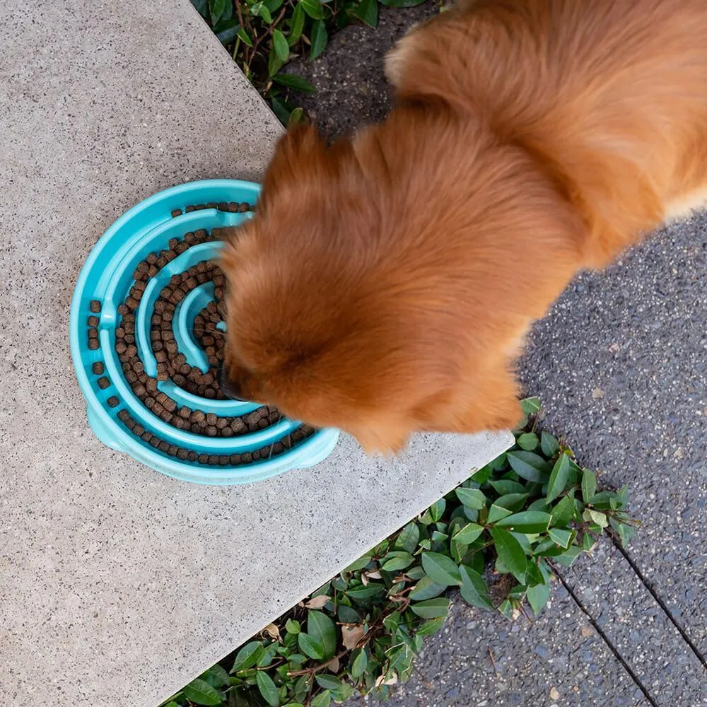 Buddy & Belle Slow Feeder Bowl