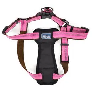 Coastal K9 Explorer Padded Harness