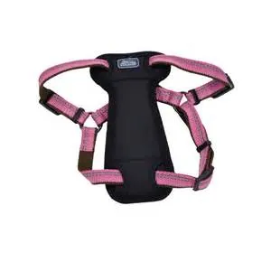 Coastal K9 Explorer Padded Harness