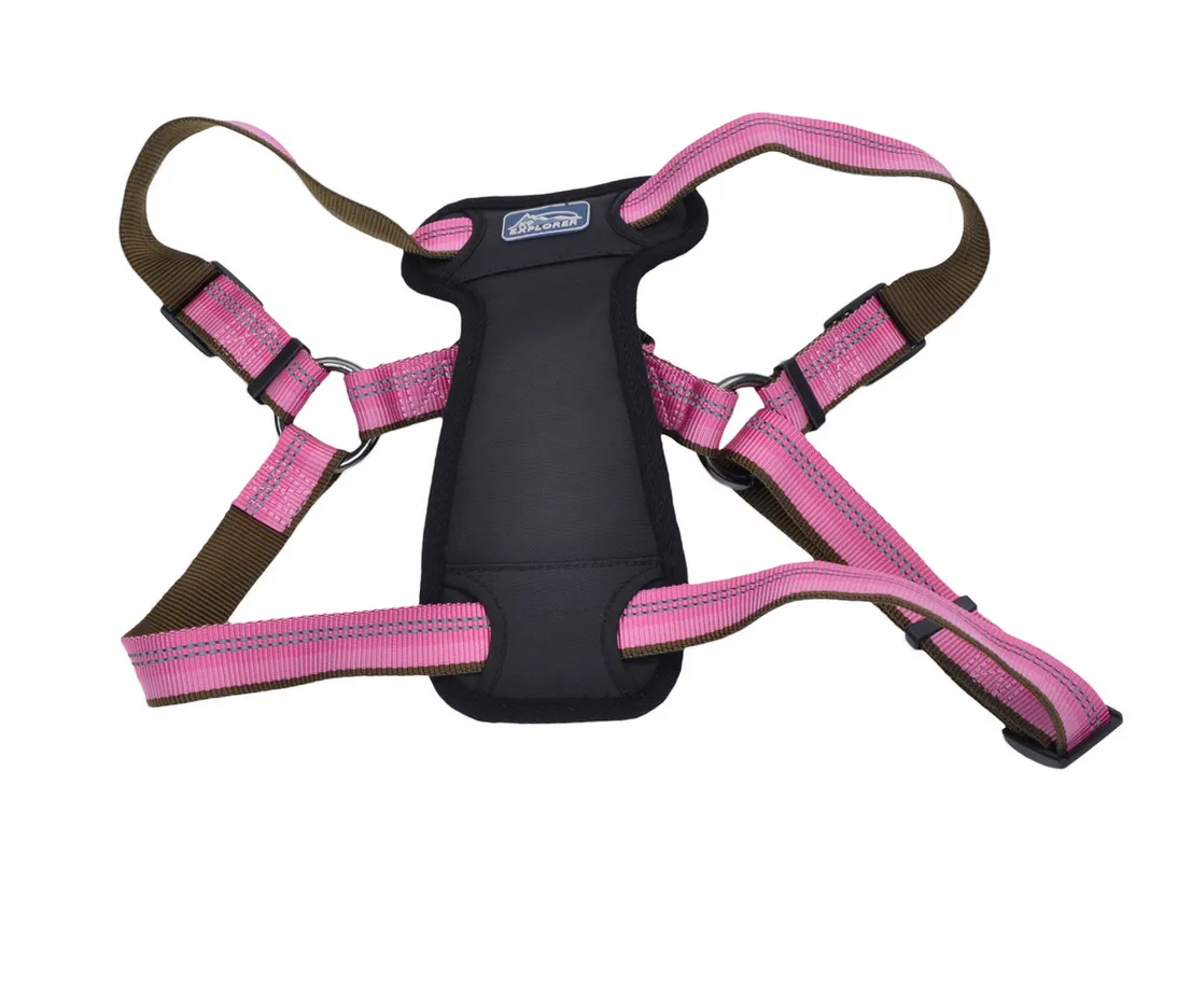 Coastal K9 Explorer Padded Harness