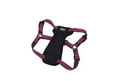 Coastal K9 Explorer Padded Harness