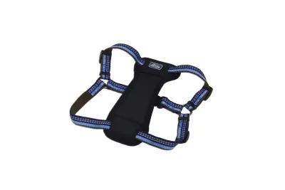 Coastal K9 Explorer Padded Harness