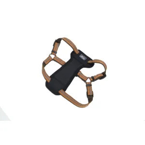 Coastal K9 Explorer Padded Harness