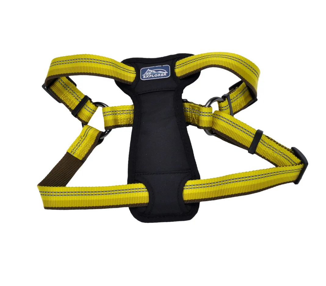 Coastal K9 Explorer Padded Harness