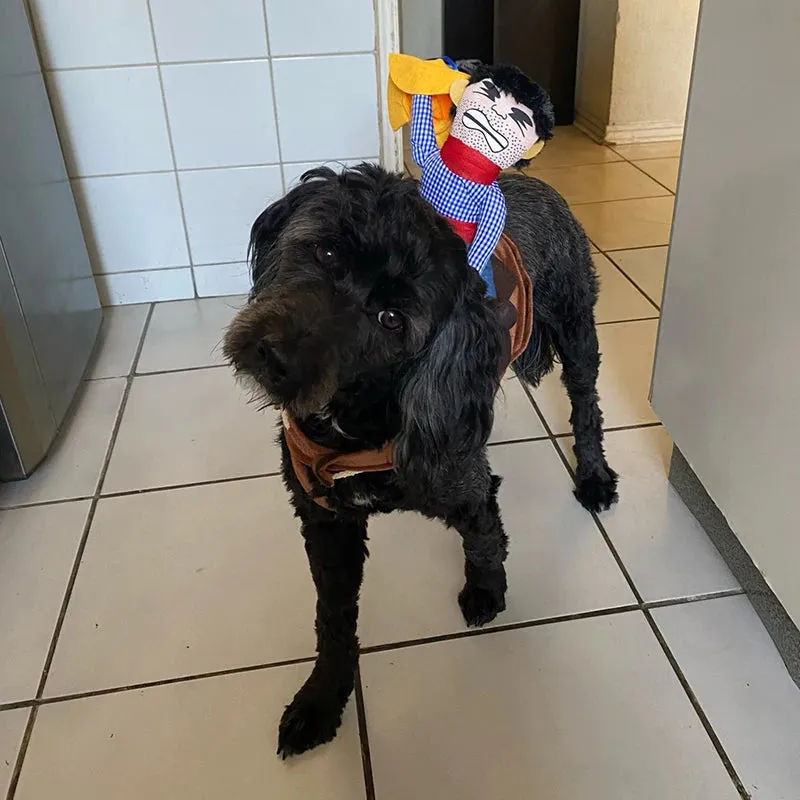 Creative Pet Costumes for Dogs and Cats - Halloween and Party Outfits