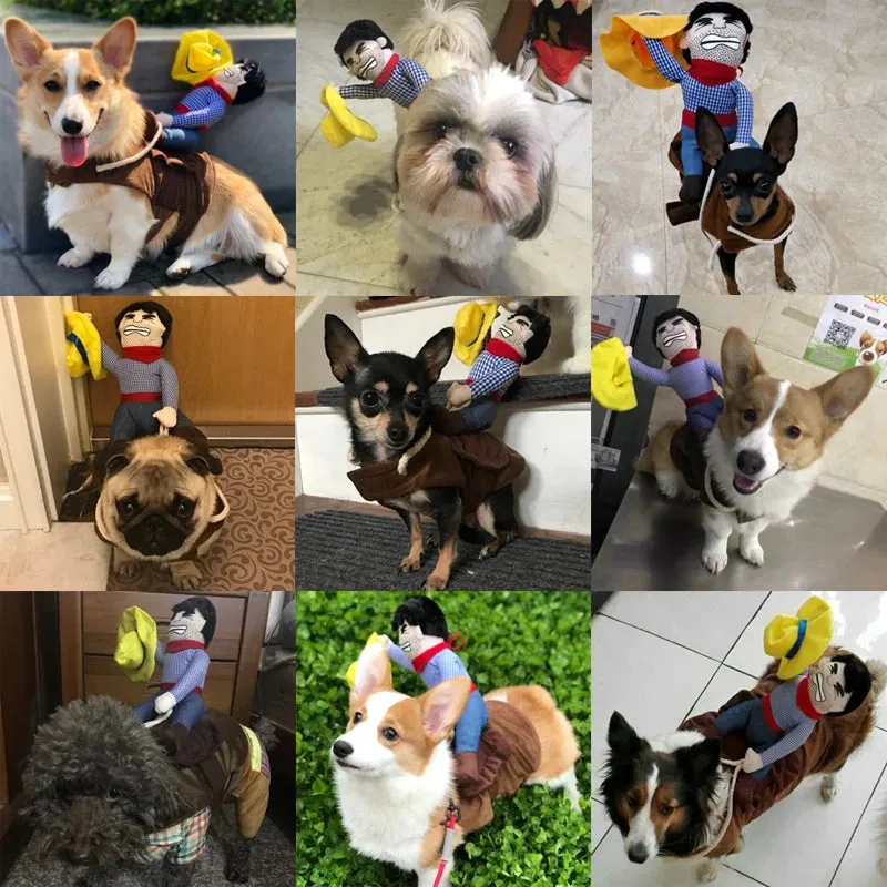Creative Pet Costumes for Dogs and Cats - Halloween and Party Outfits