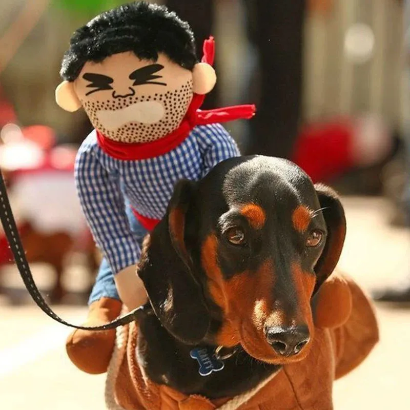 Creative Pet Costumes for Dogs and Cats - Halloween and Party Outfits