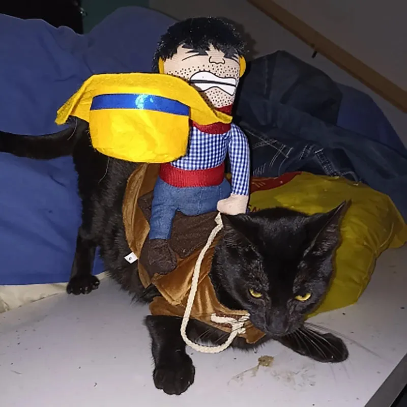 Creative Pet Costumes for Dogs and Cats - Halloween and Party Outfits