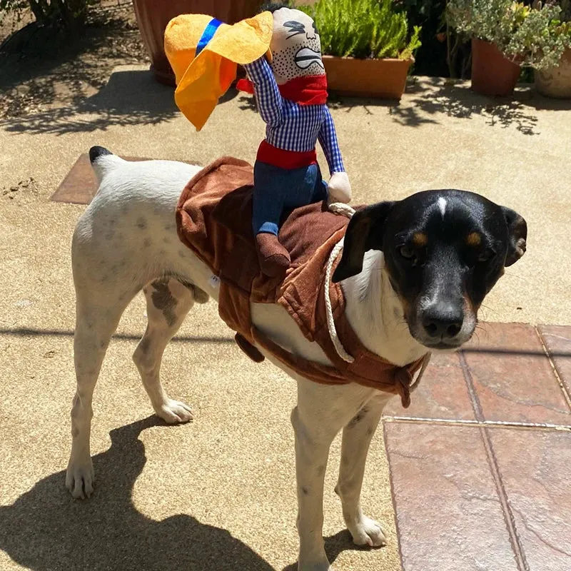 Creative Pet Costumes for Dogs and Cats - Halloween and Party Outfits