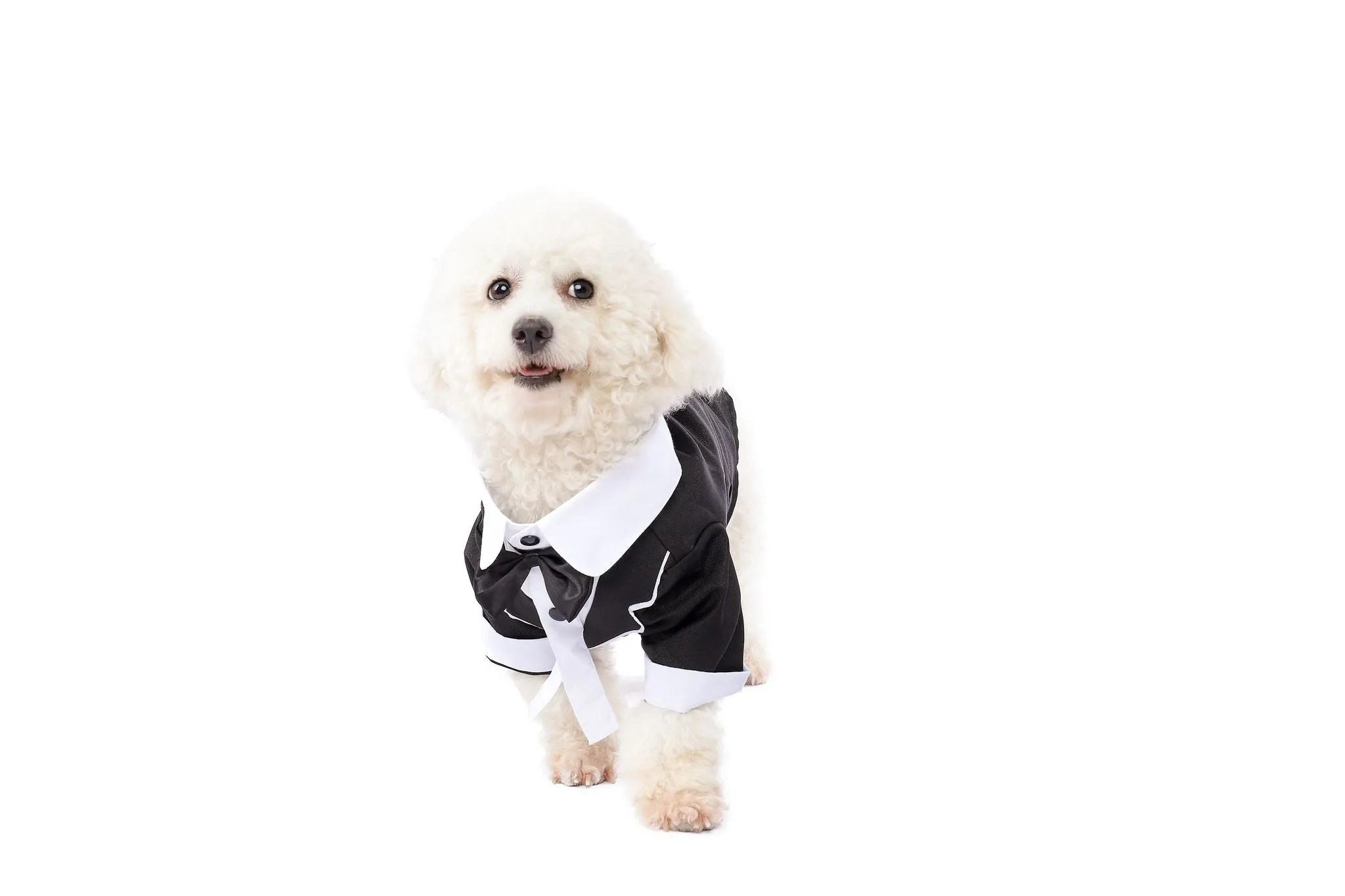 Cute Tuxedo Pet Costume