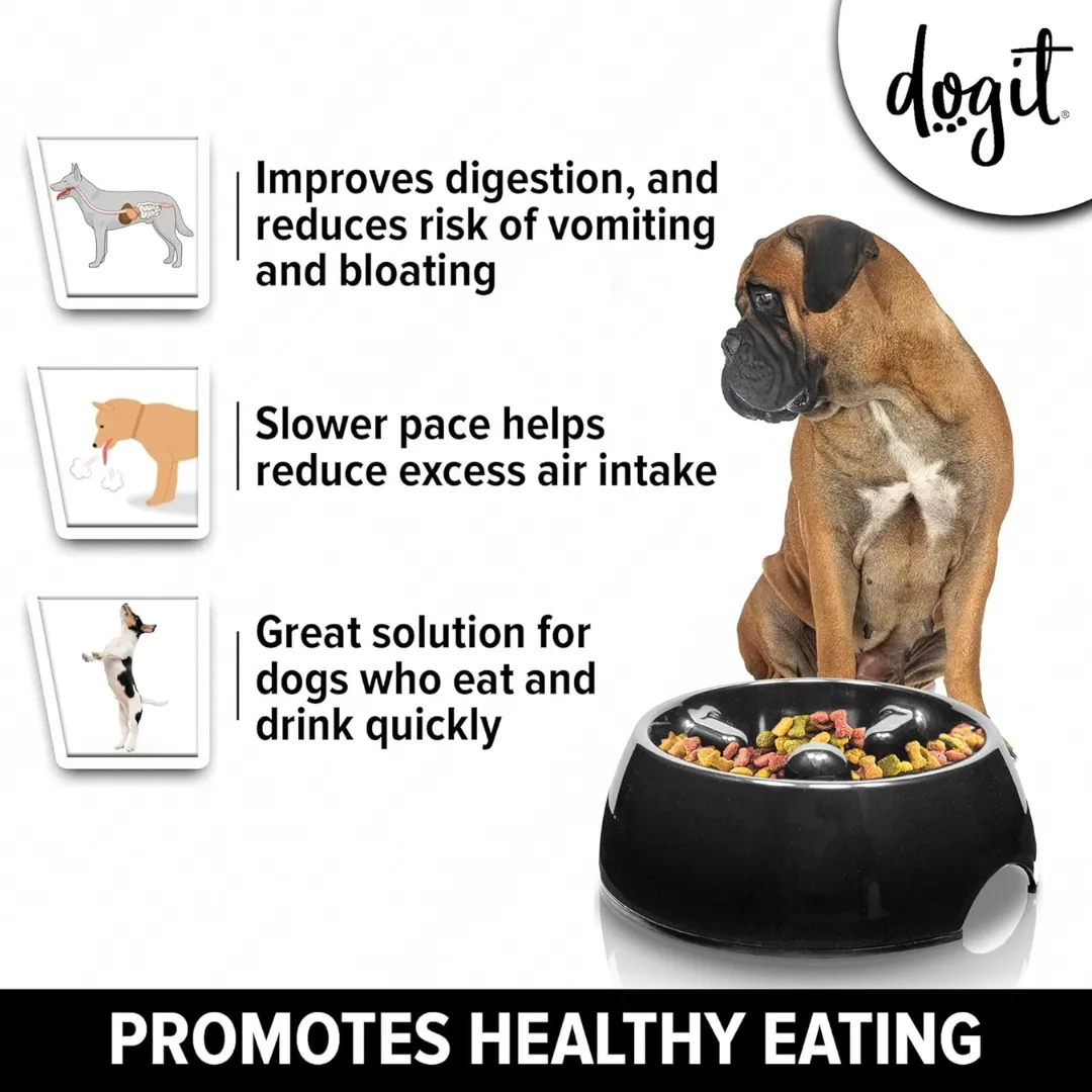 DogIt Go-Slow Anti Gulp Bowl