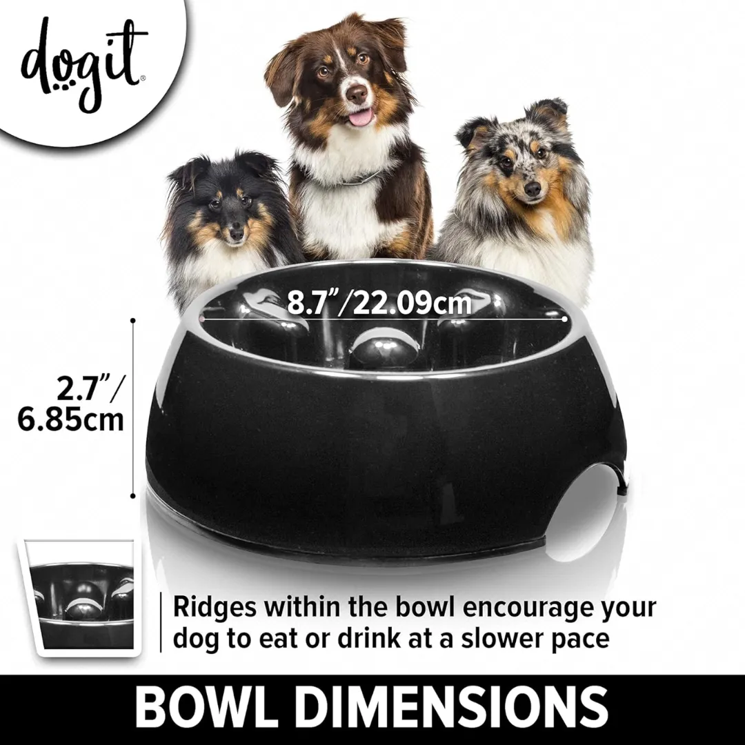 DogIt Go-Slow Anti Gulp Bowl