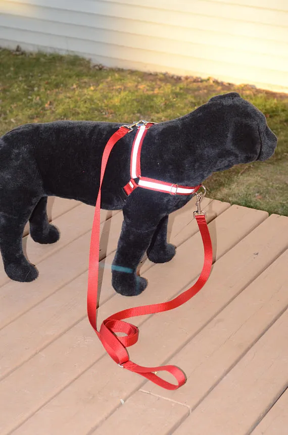 Dual Attach Leash With Sliding Handle | 3 widths, 20 colors