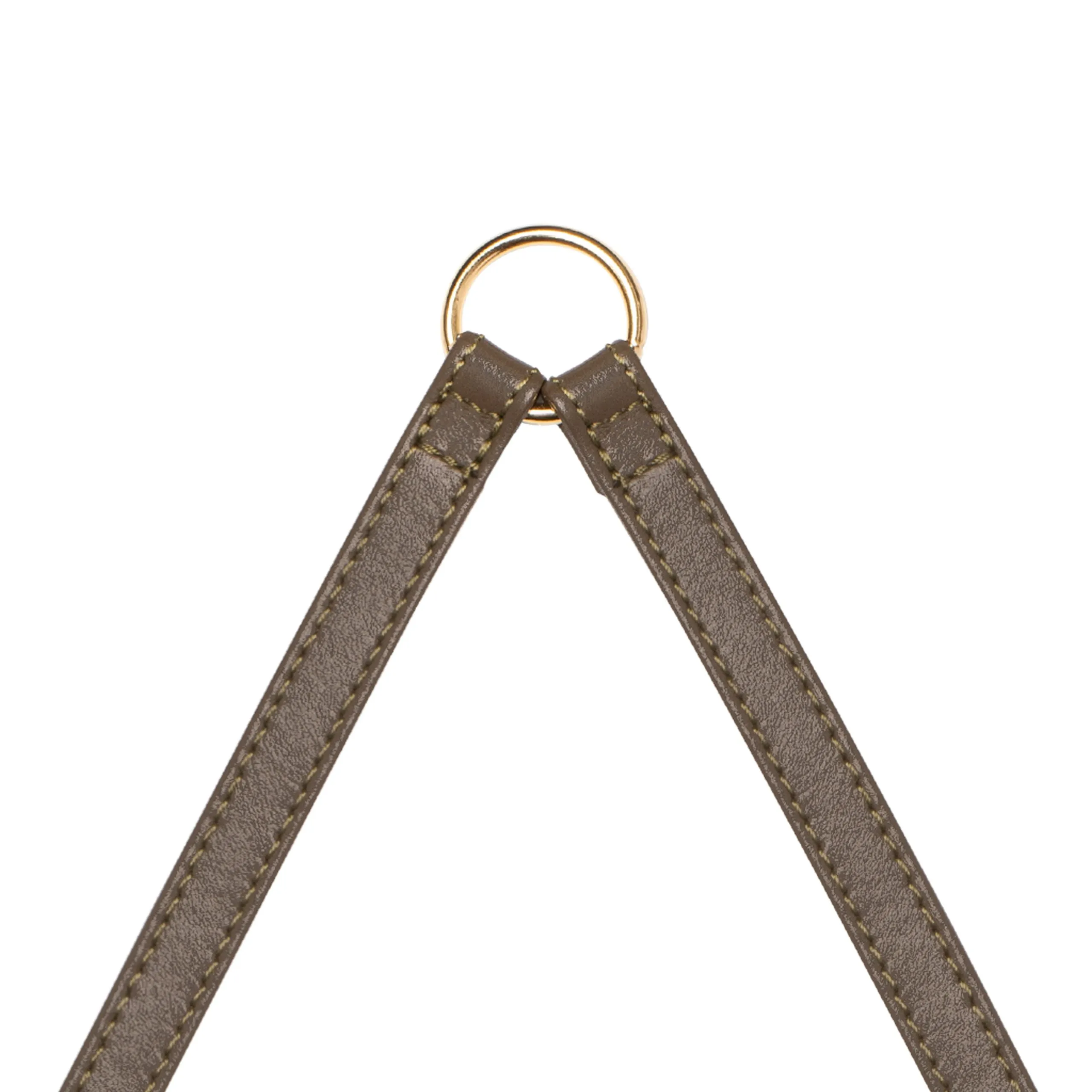Dual Leash Truffle