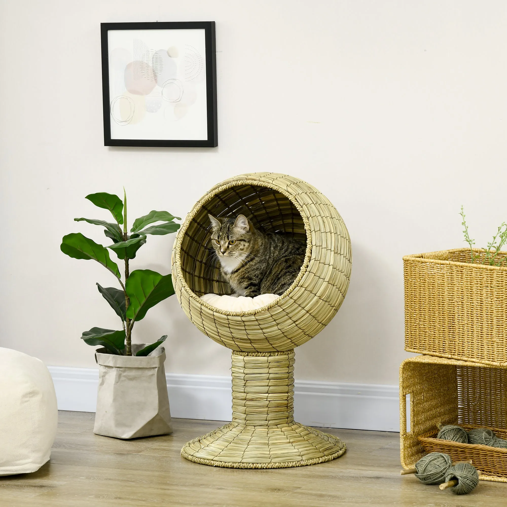 Elevated Cat Bed with Cushion, 69H cm - Natural Wood