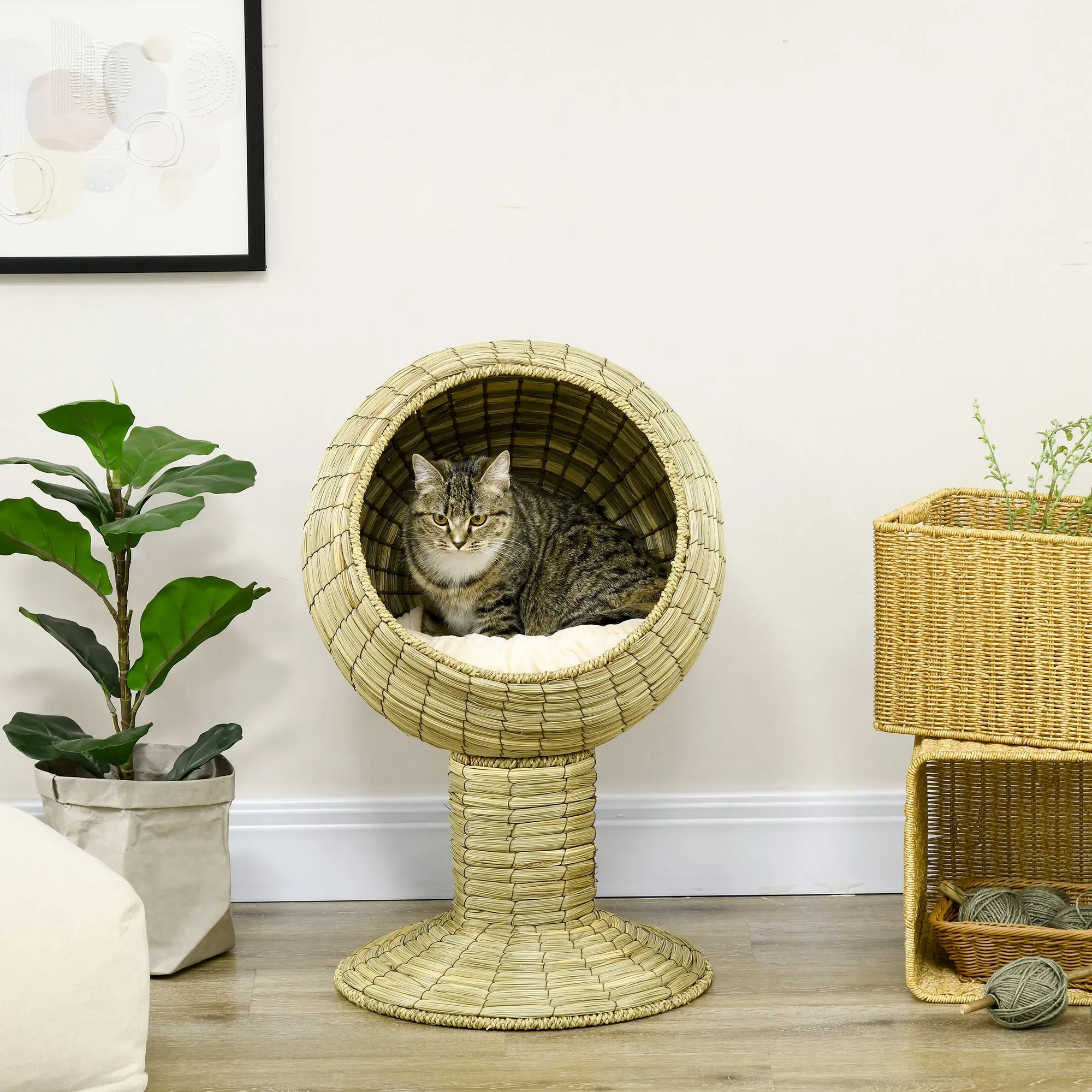 Elevated Cat Bed with Cushion, 69H cm - Natural Wood