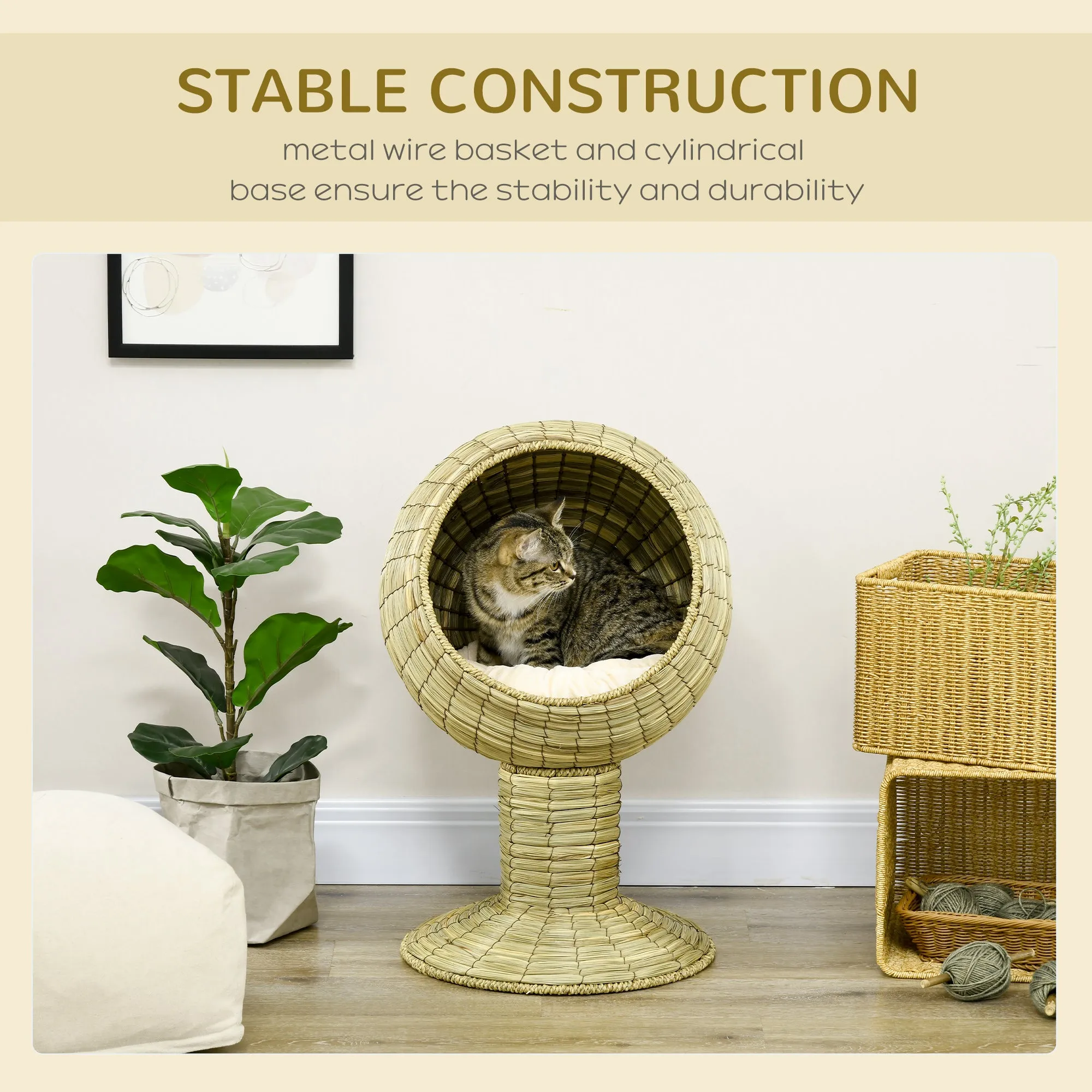 Elevated Cat Bed with Cushion, 69H cm - Natural Wood