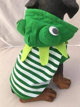 Frog Costume