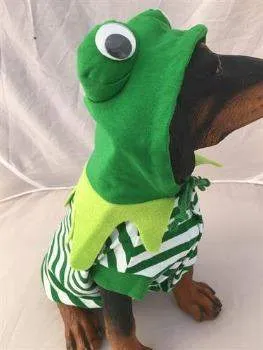 Frog Costume