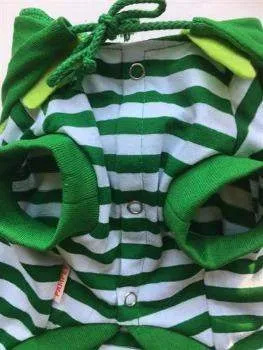 Frog Costume