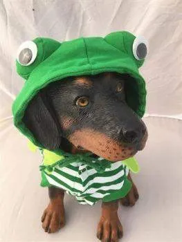 Frog Costume