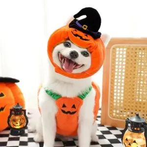 Funny Pumpkin Dog Halloween Costume with Hat