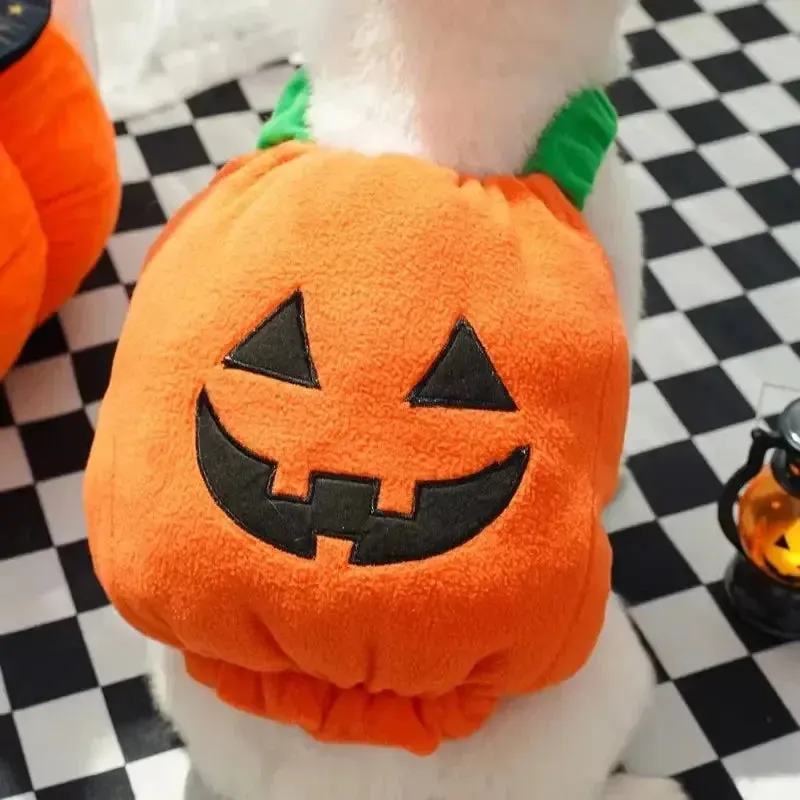 Funny Pumpkin Dog Halloween Costume with Hat
