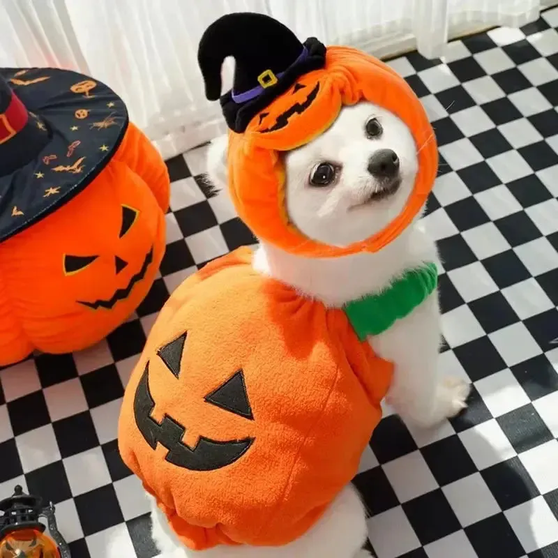 Funny Pumpkin Dog Halloween Costume with Hat