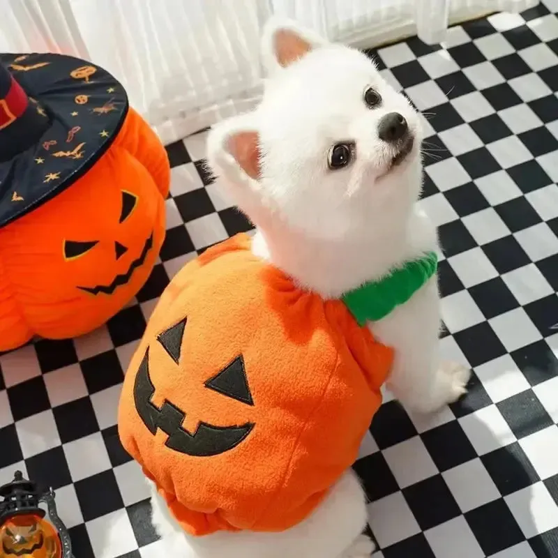 Funny Pumpkin Dog Halloween Costume with Hat