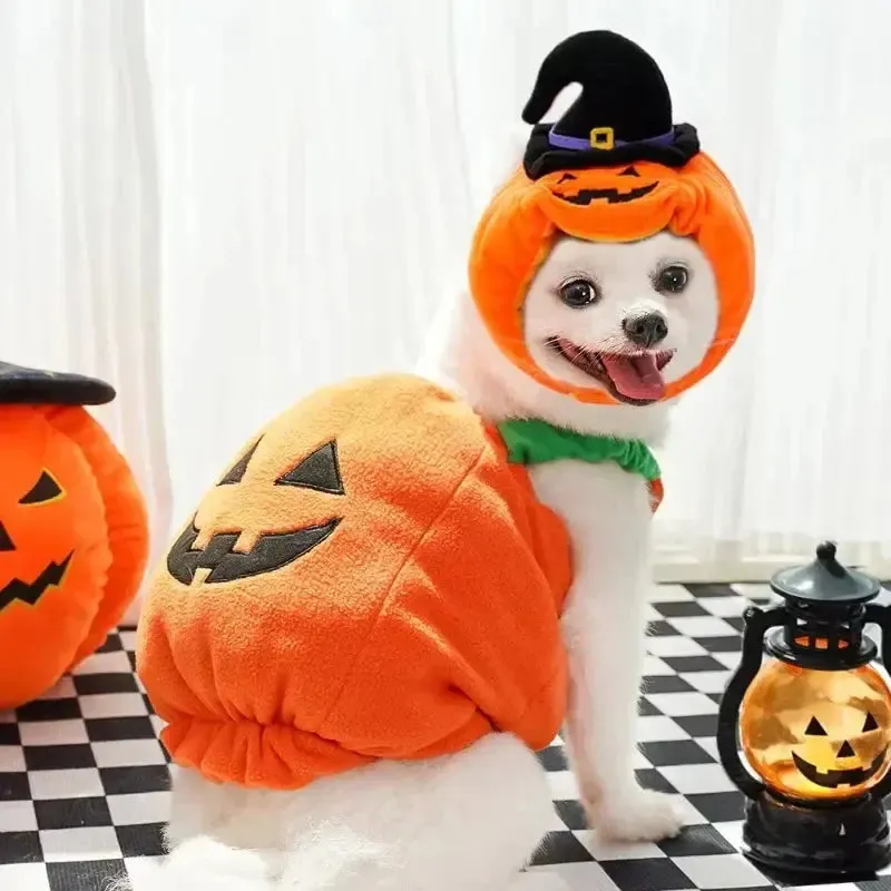 Funny Pumpkin Dog Halloween Costume with Hat