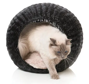 FuzzYard Java Cat Pod