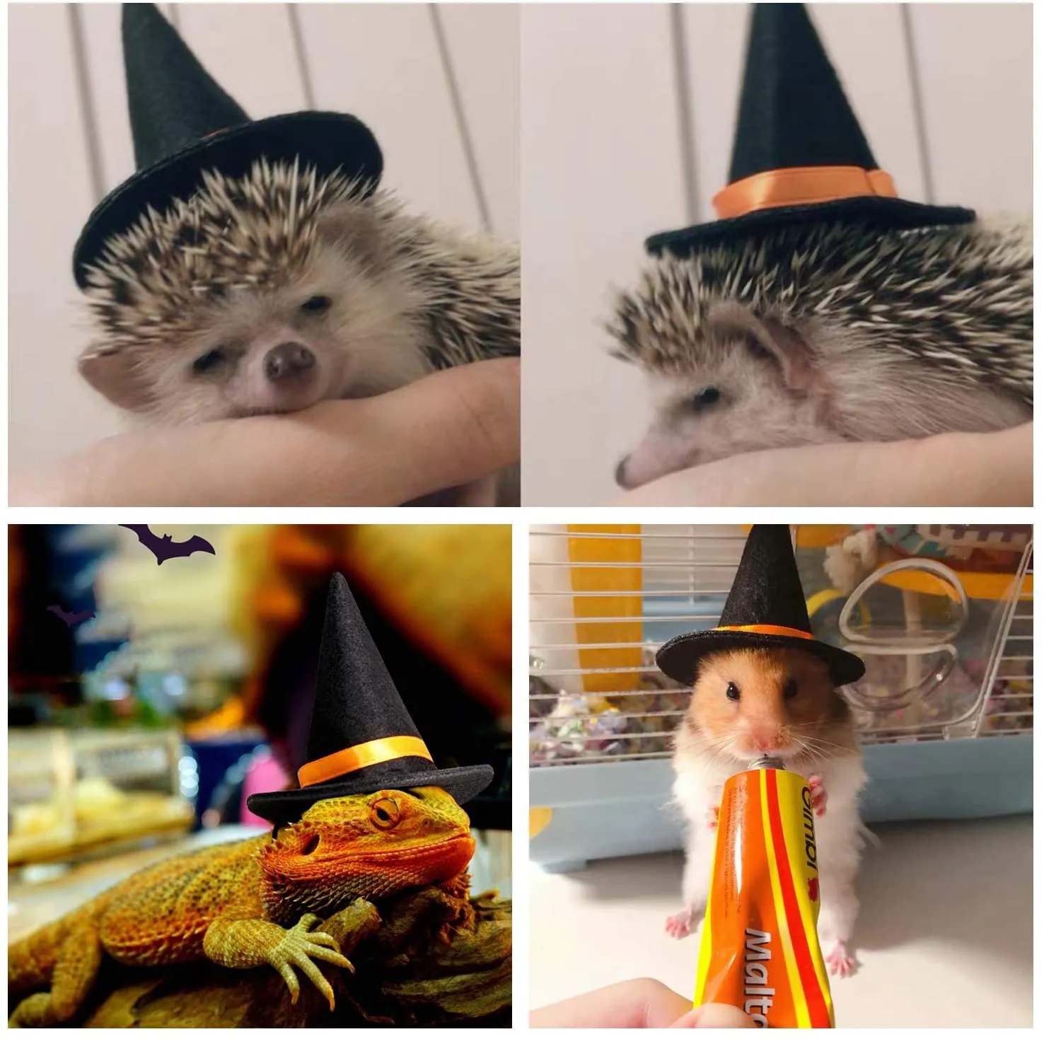 HAICHEN TEC Bearded Dragon Leash Harness with Wizard Hat Halloween Costume Set,3 Size Pack Bat Wing with 6.2FT Leash for Lizard Reptile Halloween,Holiday,Party,Photos Small Animal Clothes Outfit