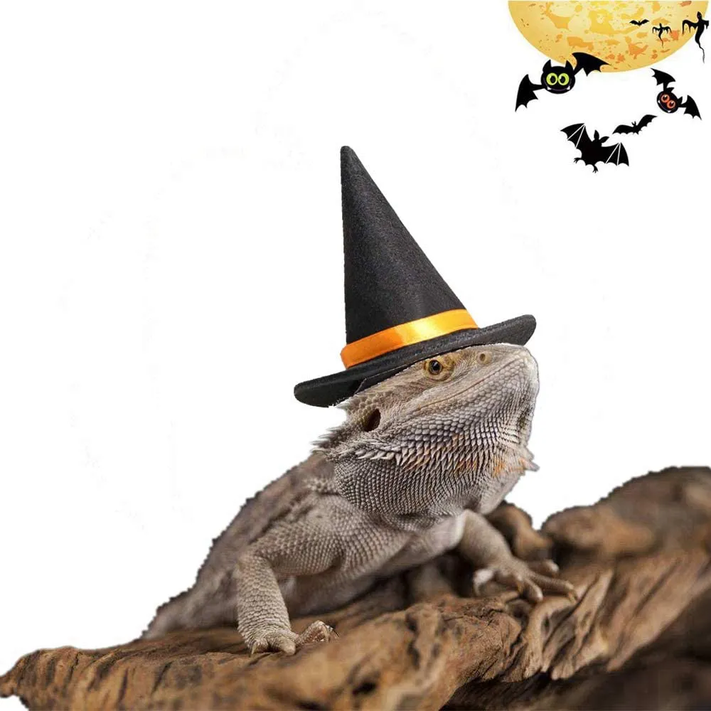 HAICHEN TEC Bearded Dragon Leash Harness with Wizard Hat Halloween Costume Set,3 Size Pack Bat Wing with 6.2FT Leash for Lizard Reptile Halloween,Holiday,Party,Photos Small Animal Clothes Outfit