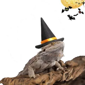 HAICHEN TEC Bearded Dragon Leash Harness with Wizard Hat Halloween Costume Set,3 Size Pack Bat Wing with 6.2FT Leash for Lizard Reptile Halloween,Holiday,Party,Photos Small Animal Clothes Outfit