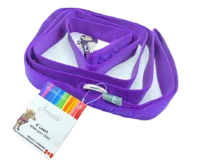 Jwalker 6 Foot Leash - Purple