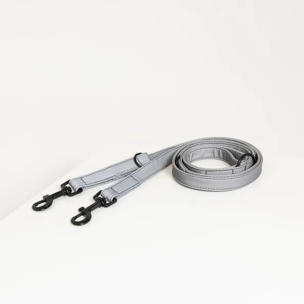 Kentucky Dog Lead Reflective