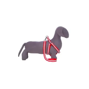 Kings Cross Harness