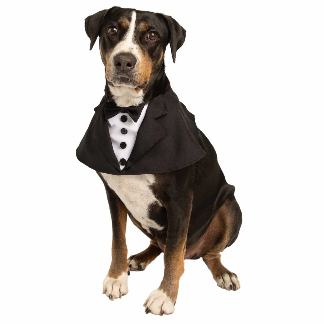 Pet Costumes