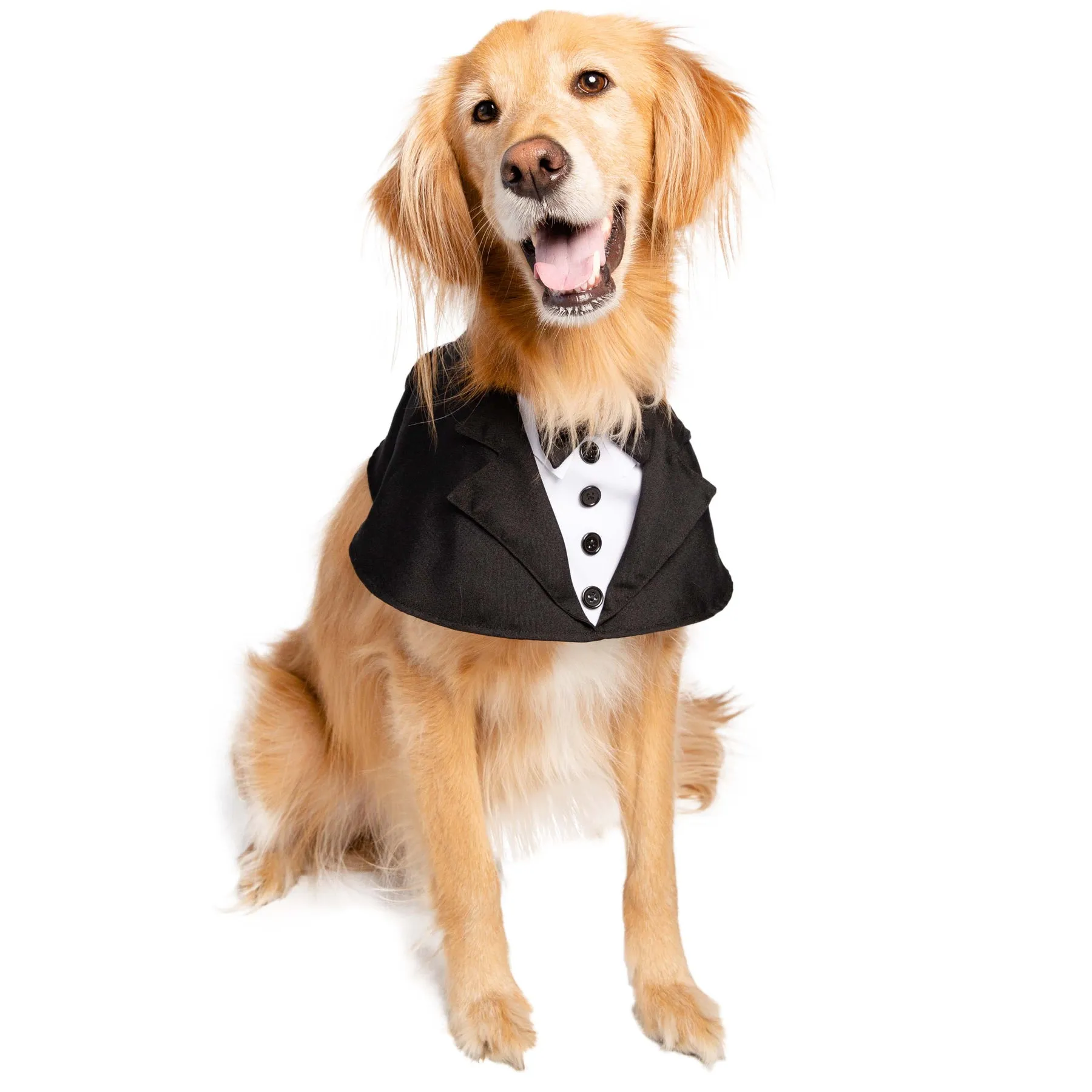 Pet Costumes