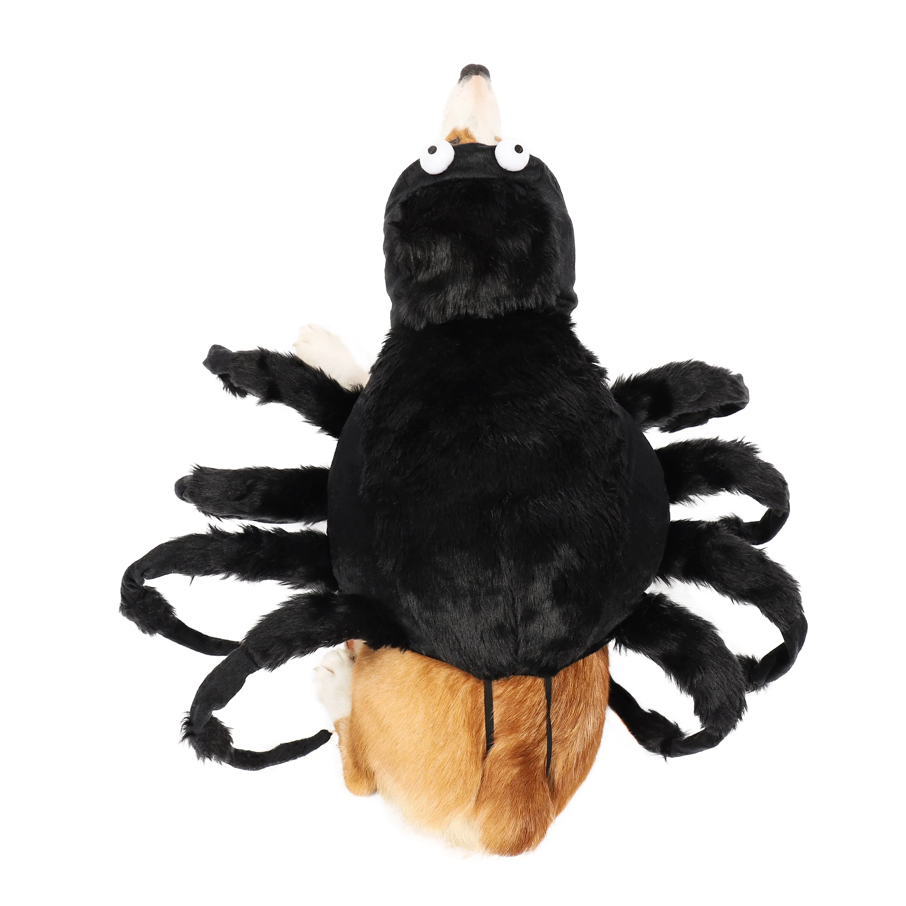 Pet Tarantula Costume