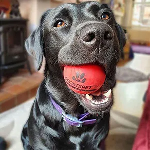 SportsPet Tough Bounce Rubber Ball