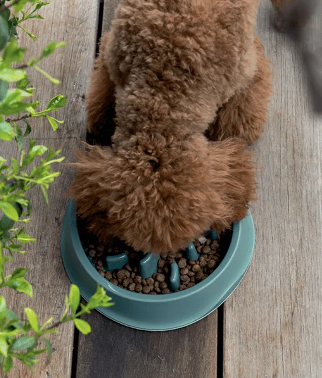 Stefanplast Chic Bowl Slow Feeder English Green